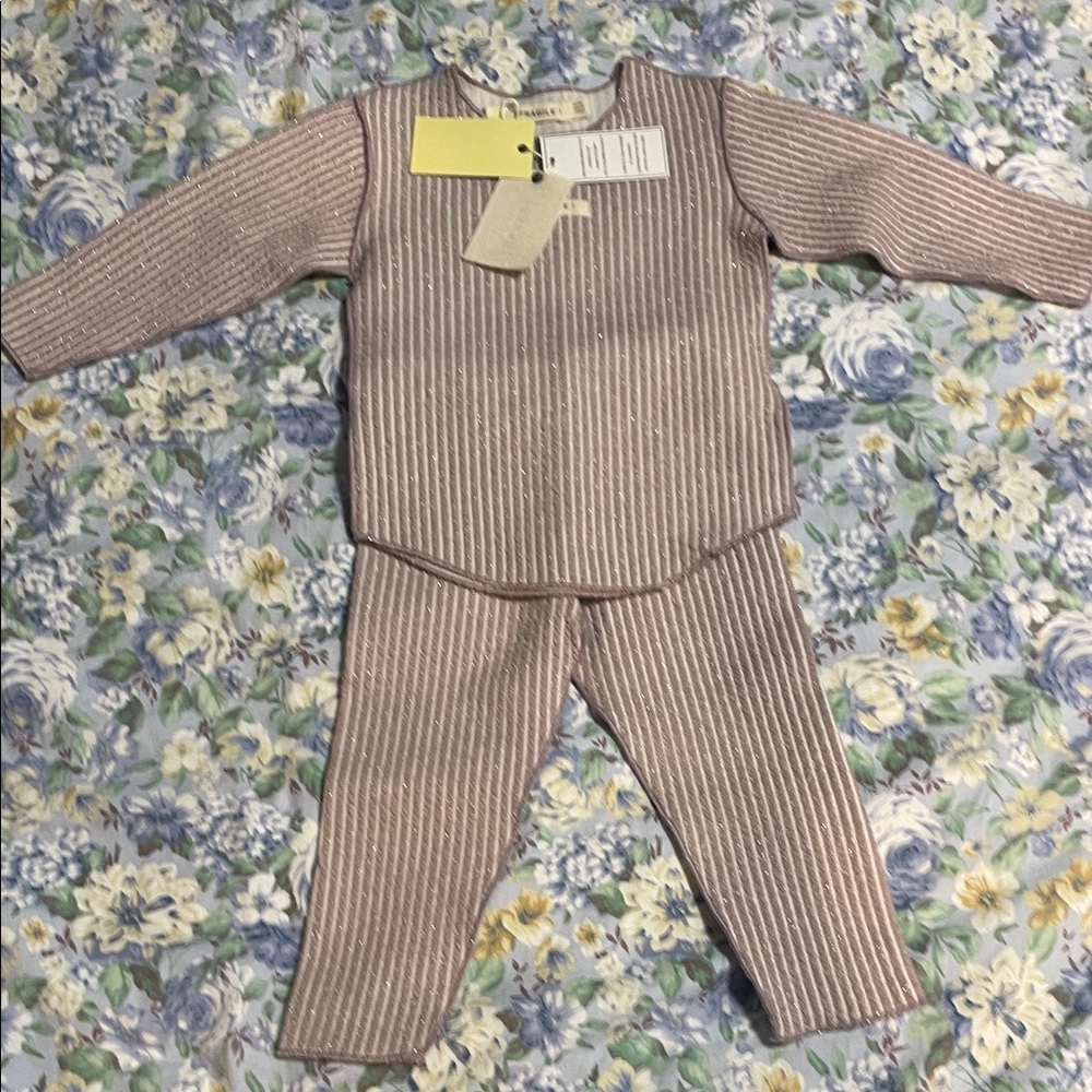 NWT FRAGILE! Ribbed Knit Two-Piece Set in Dusty Pink size 9 months